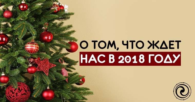 Сколько процентов платят в пенсионный фонд в 2018 Сколько процентов платят в пенсионный фонд в 2018