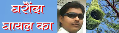 घायल का घरौंदा