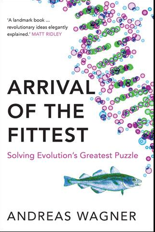 The Four Important Components Of Evolution By Natural Selection The Four Important Components Of Evolution By Natural Selection