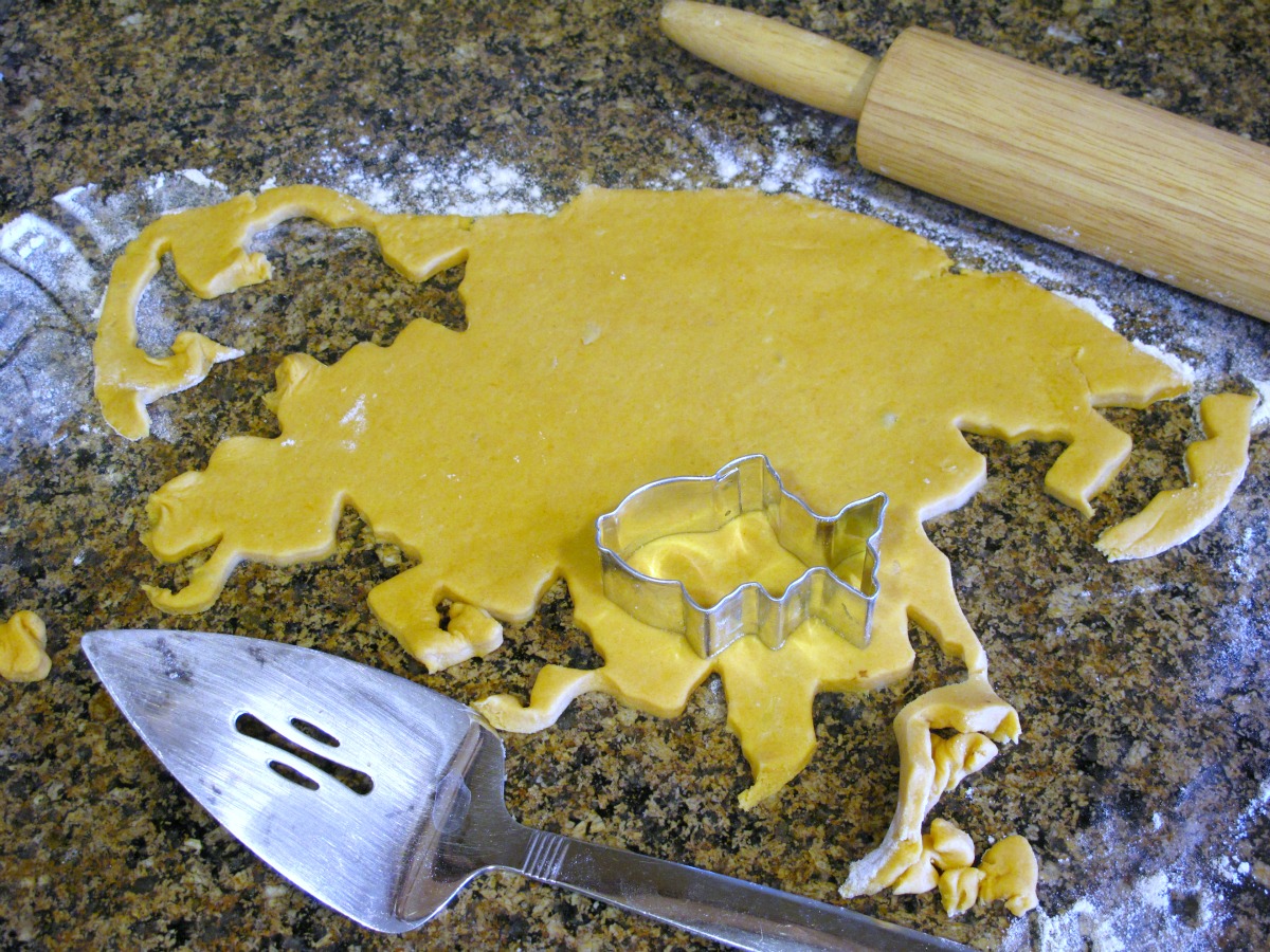 Simply Healthy Family Home Made Gold Fish Crackers