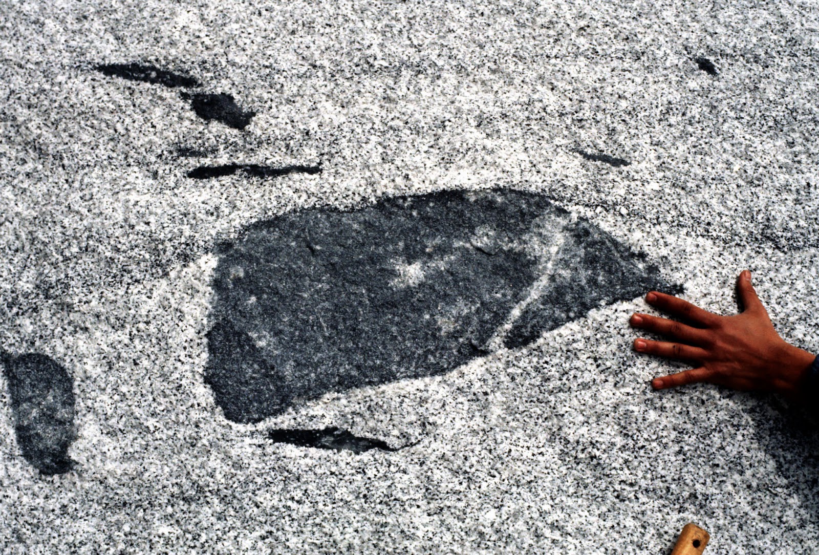 principle of inclusion geology principle of inclusion geology