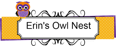 Erin's Owl Nest