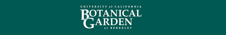 UC Botanical Garden Landscape Cacti and Succulents Nursery