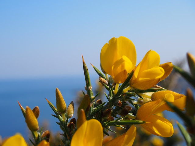 Cap Sizun : de la Pointe de Penharn à celle de Brézellec