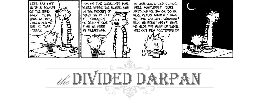 the divided darpan