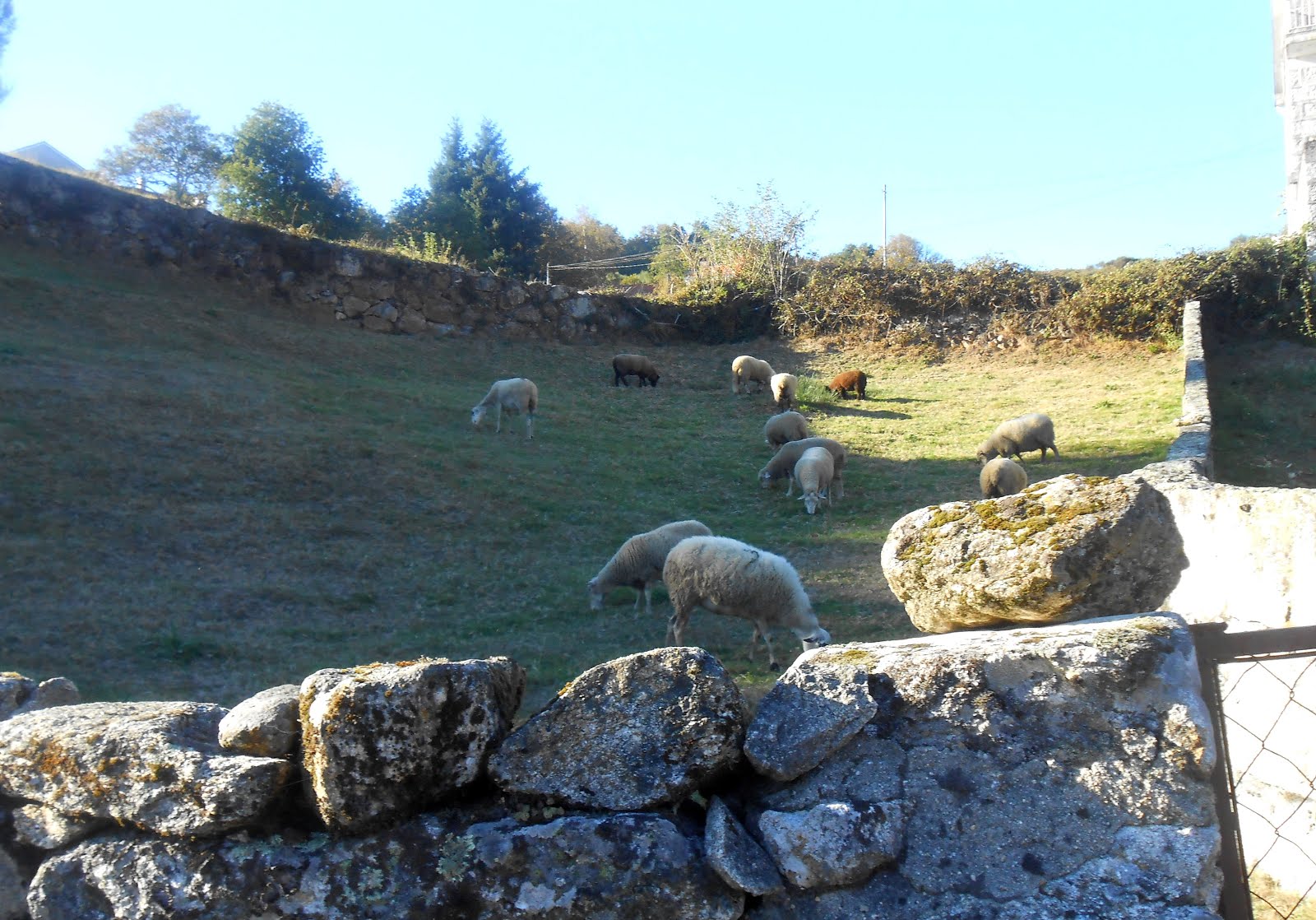 Lamas de Mouro