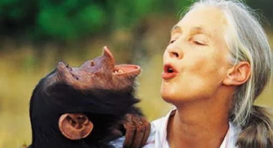 When Humans and Animals Get Along