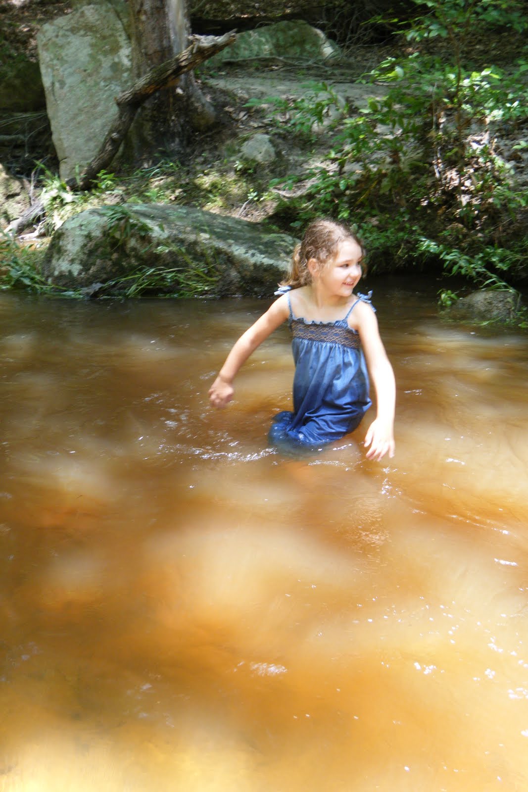 Five Dows Wading in the Creek