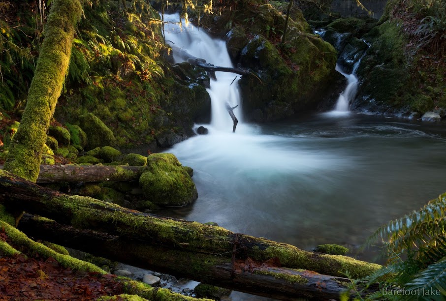 hiking quinault