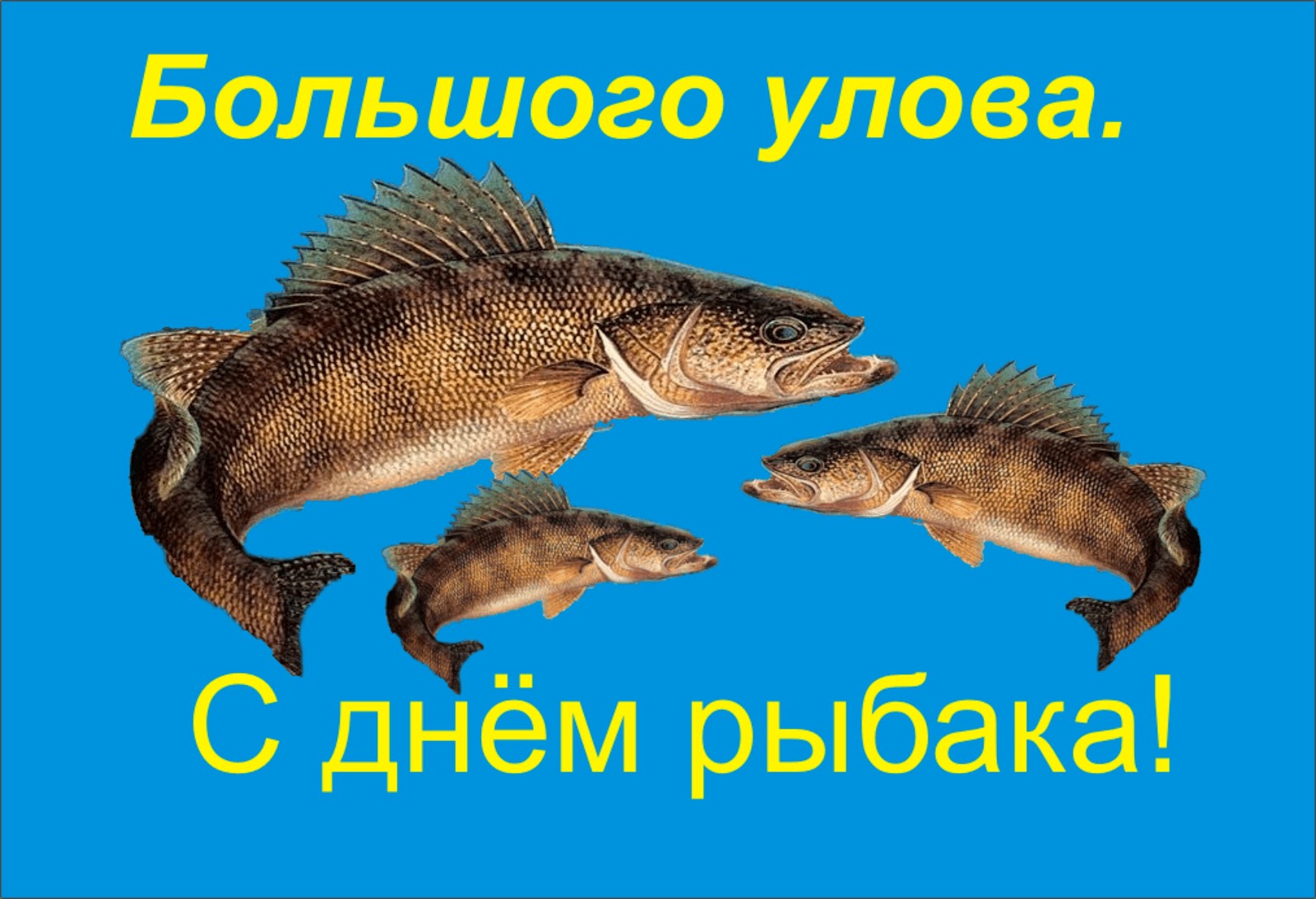 Открытка 2 i 42 Открытка 2 i 99
