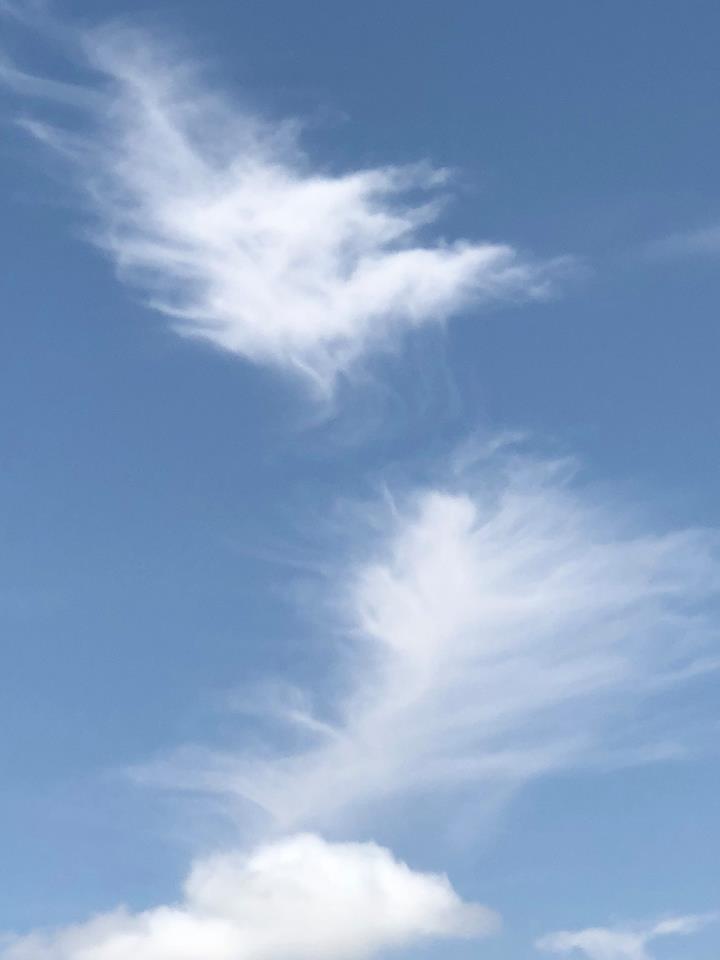 FEATHER LIGHT, Aug 2018