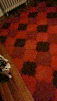 Awwdorable! Cutest Animal Pictures From the Week Awwdorable! Cutest Animal Pictures From the Week