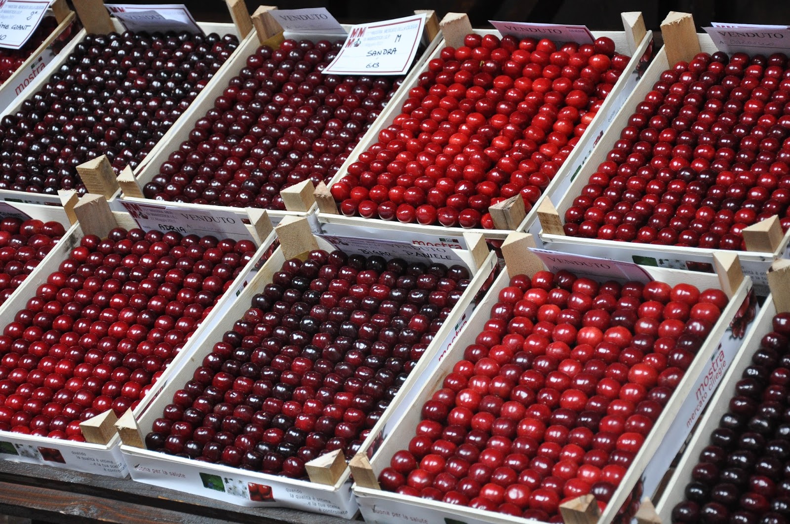 Crates of Premier Cherries, Cherry Show Market, Marostica, Veneto, Italy