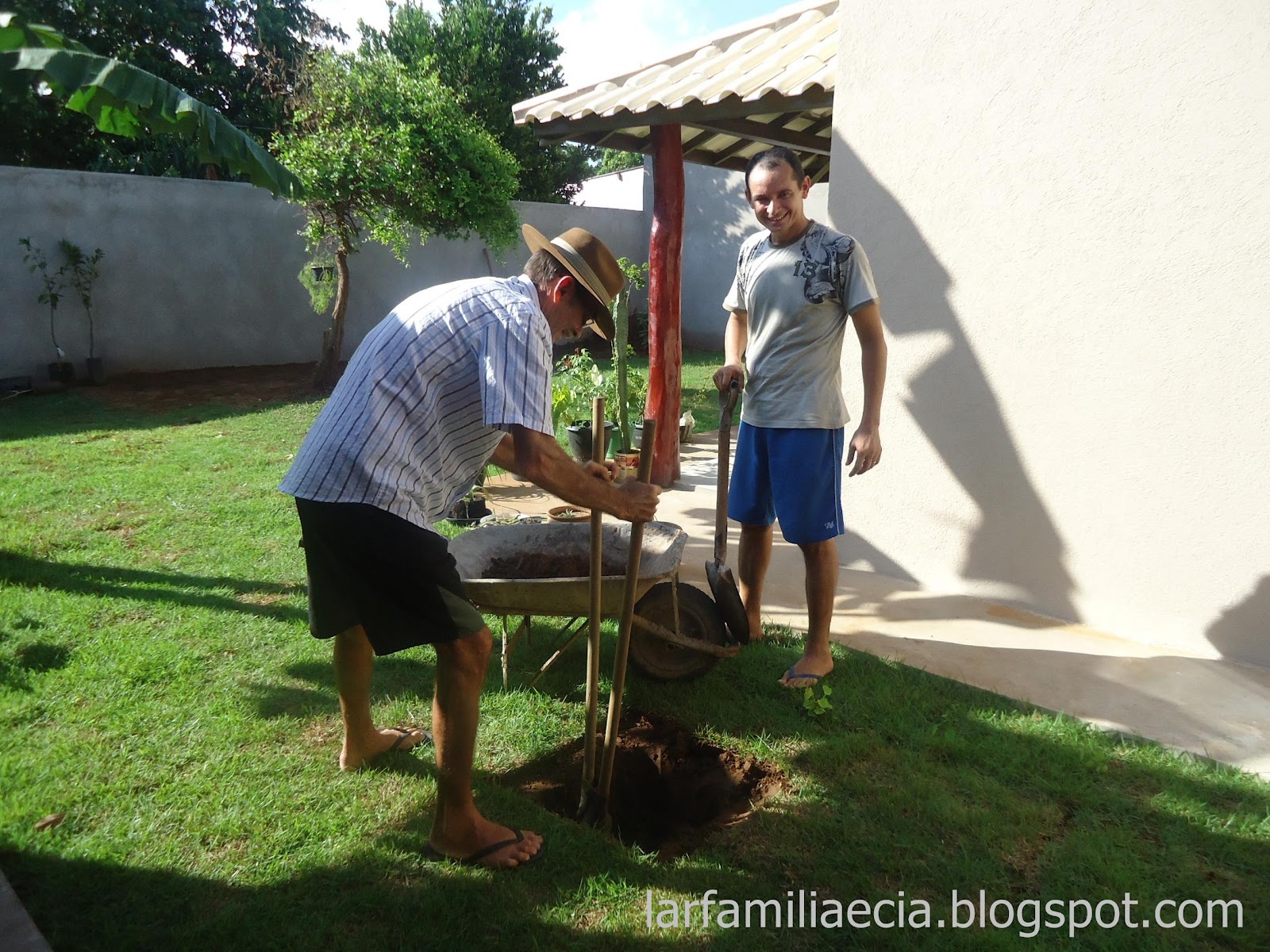 ipe de jardim familia: pé de goiaba já estava plantado e tem ainda um pé de ipê amarelo ipe de jardim familia: pé de goiaba já estava plantado e tem ainda um pé de ipê amarelo