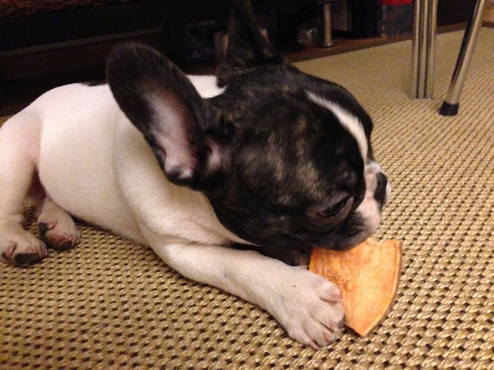 Sweet Potato (Yam) Dog Chew Treats Recipe Archer the French Bulldog