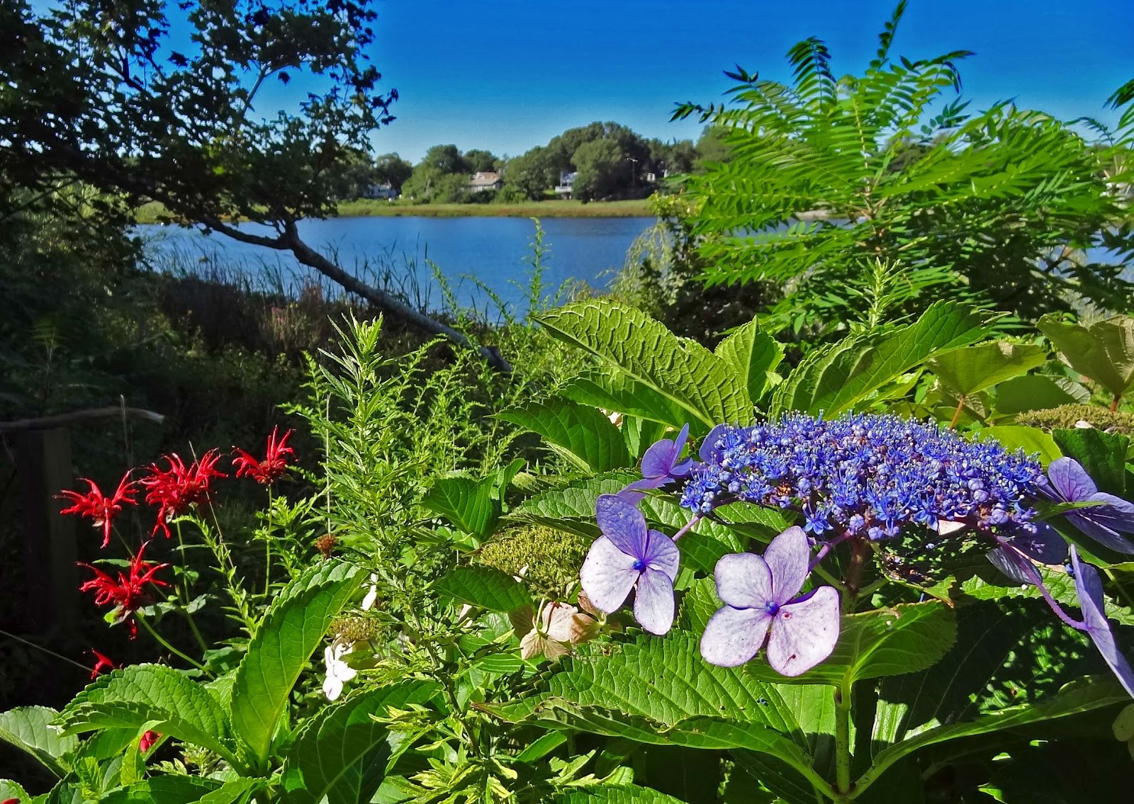 Joe's Retirement Blog Trees and Ponds the Essence of New England