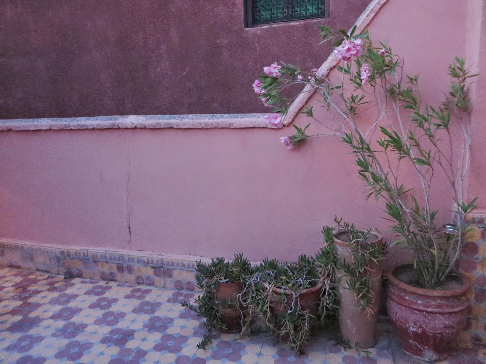 Huit femmes à marrakech