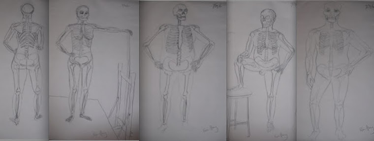 Figure Drawing - Skeletons