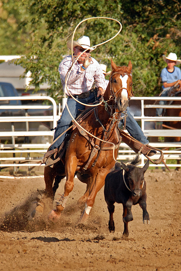 Dakotagraph Some quick rodeo photography tips