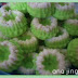 Puteri Ayu