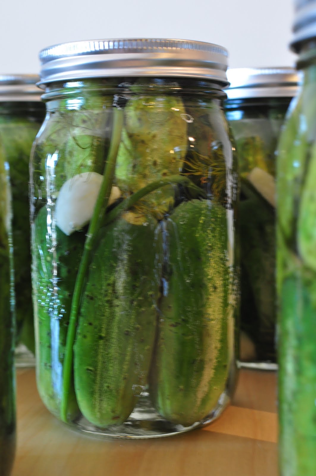 My Tiny Oven Dill Pickles