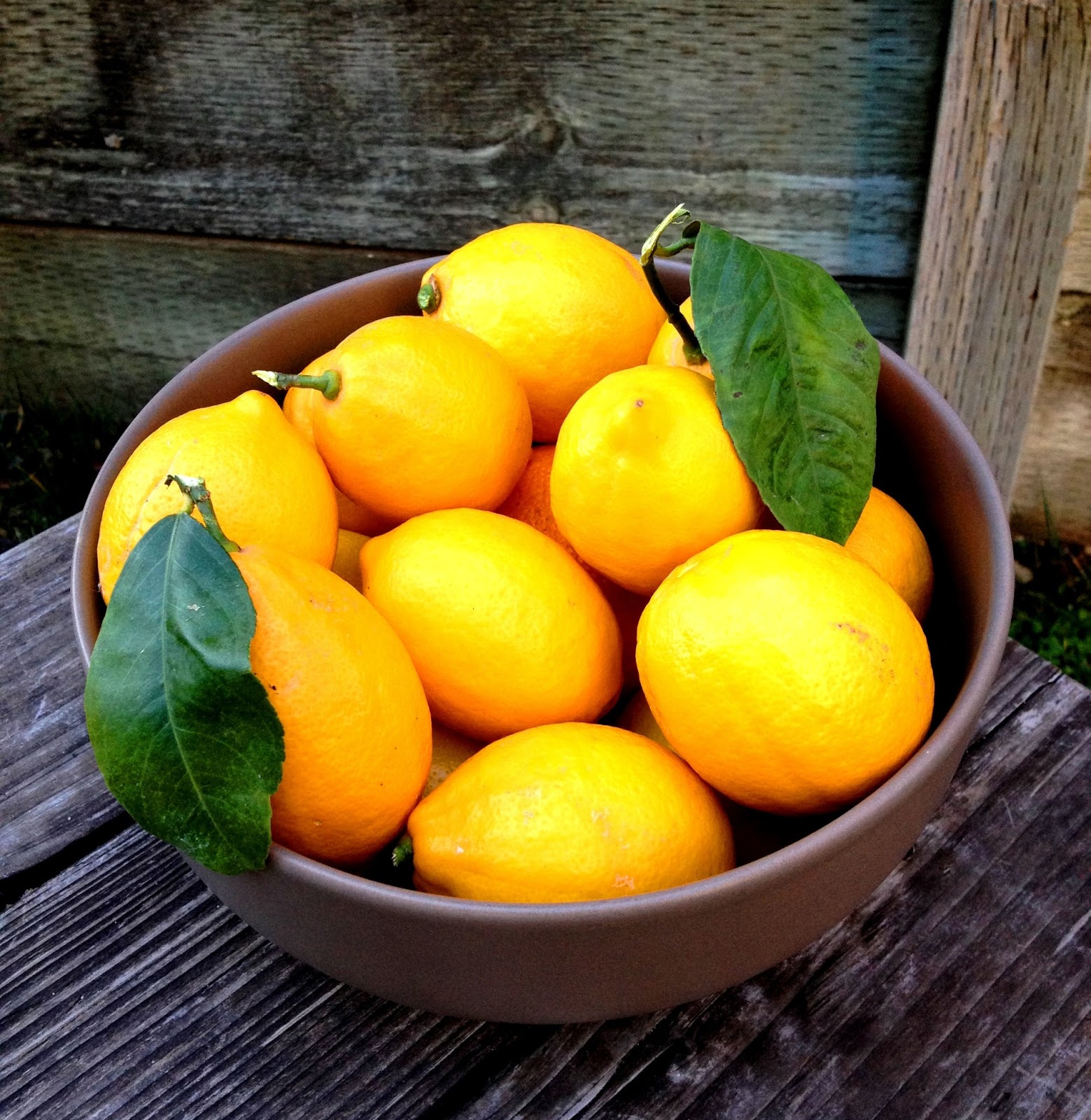 Entropy Kitchen Preserving Meyer Lemons