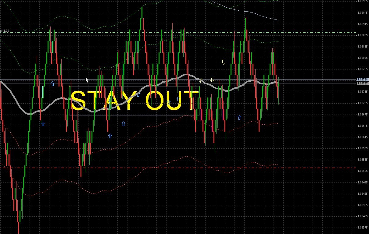 Wolf forex