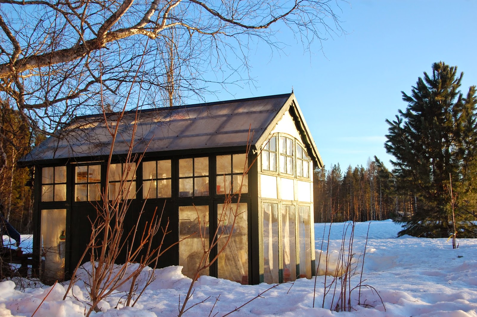 Svanå trädgård: vårtecken
