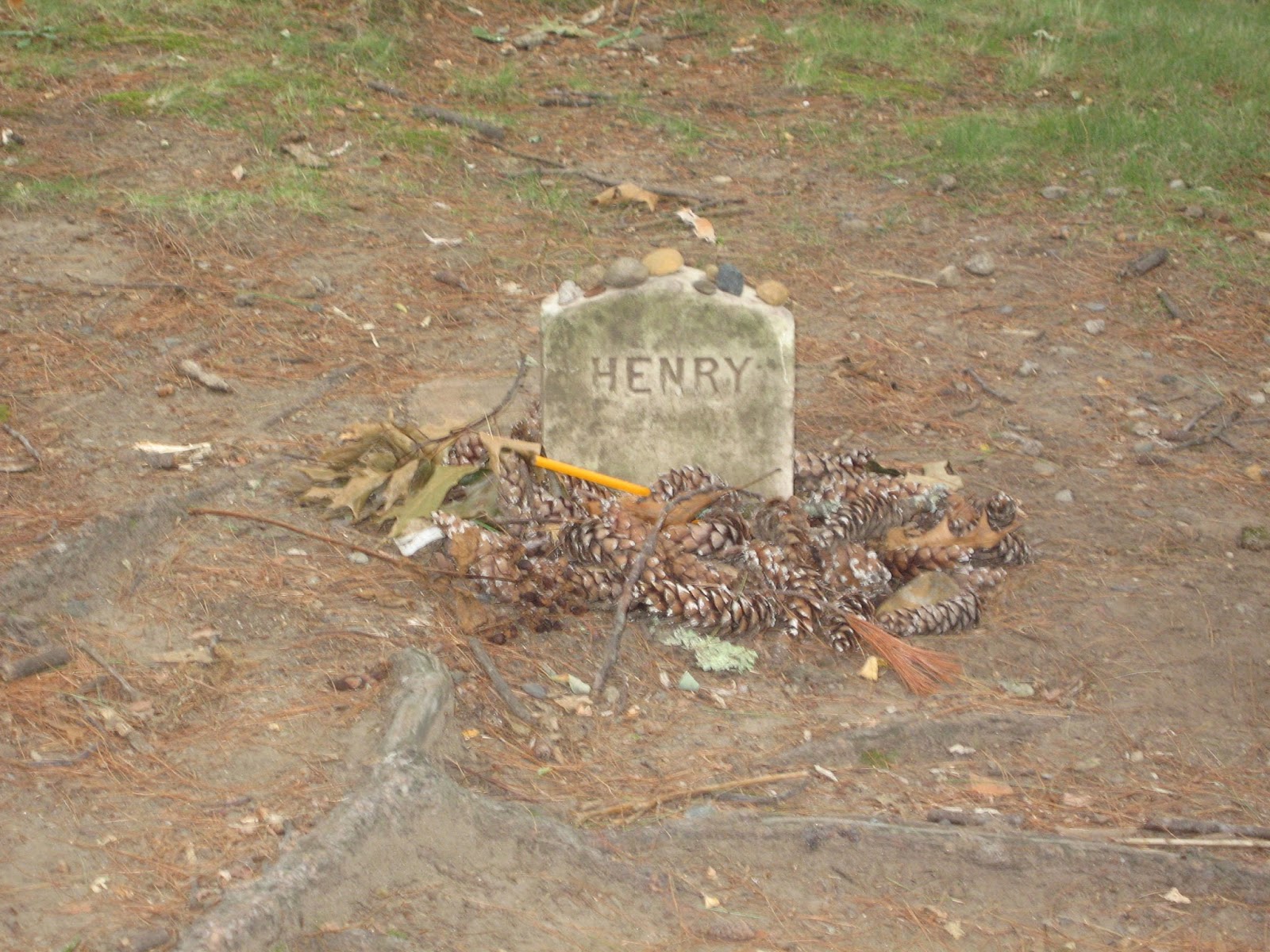 Thoreau, Walden, and Concord