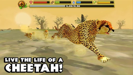 Cheetah Simulator Android Cheetah Simulator Apk Android