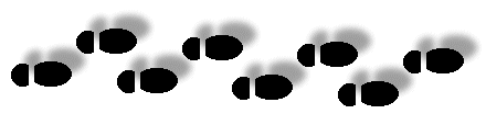 carbon fotprints Your carbon footprint is the sum of all emissions of greenhouse gases like co2 (carbon dioxide), which were induced by your activities in a given time frame usually. carbon fotprints Your carbon footprint is the sum of all emissions of greenhouse gases like co2 (carbon dioxide), which were induced by your activities in a given time frame usually.