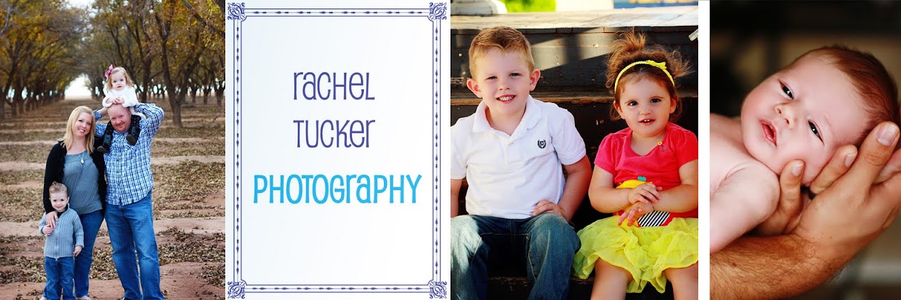 Rachel Tucker Photography