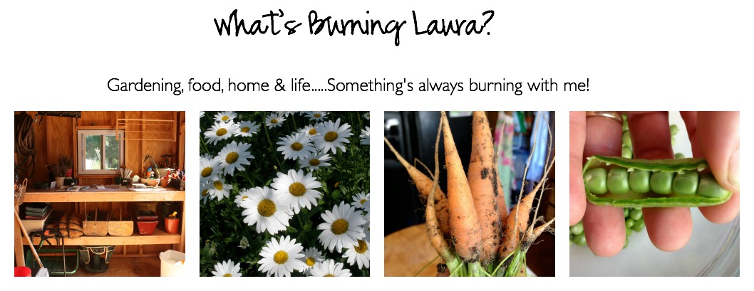 What's Burning Laura?
