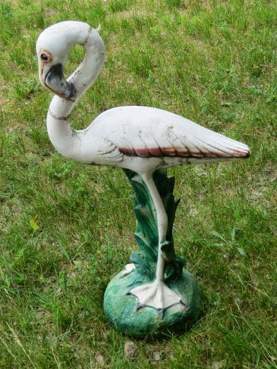 white flamingo