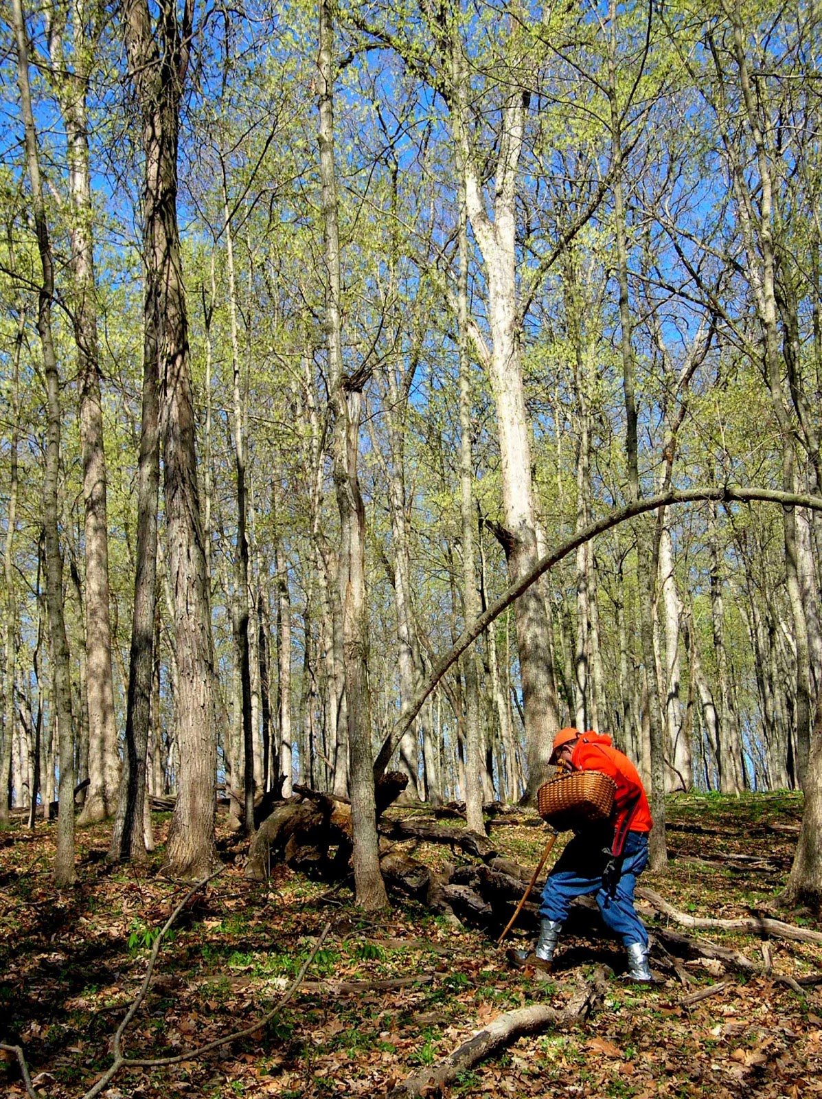 Divinebunbun's Rugged Rural Missouri Morel Hunting Tip 2 Proper Gear