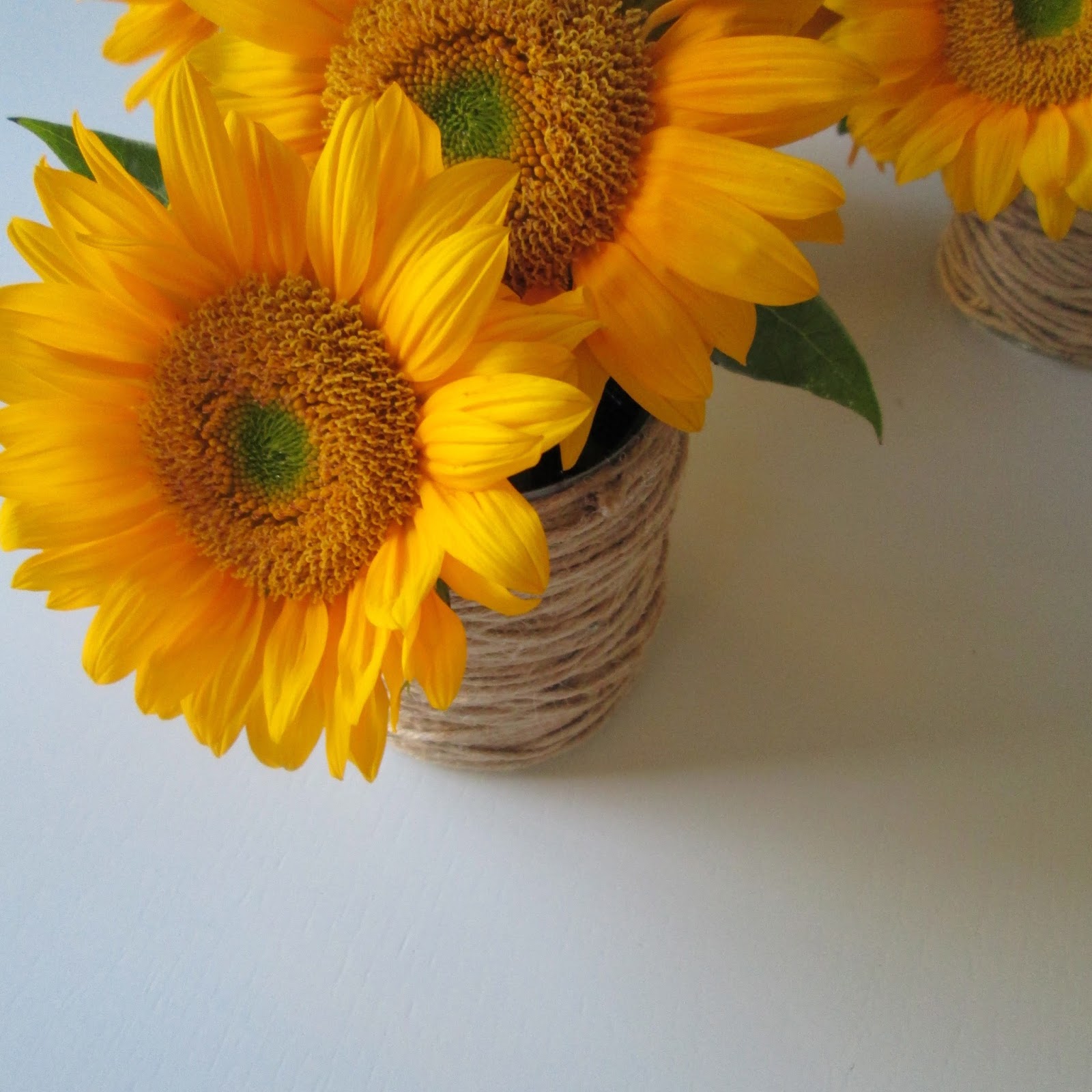 roommom27 Rope Tin Can Vases Easy DIY