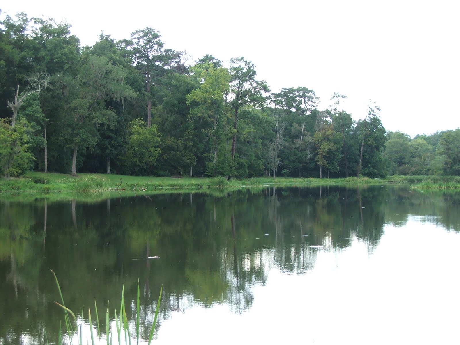 Southern Comfort PIC OF THE WEEK CHATTAHOOCHEE STATE PARK