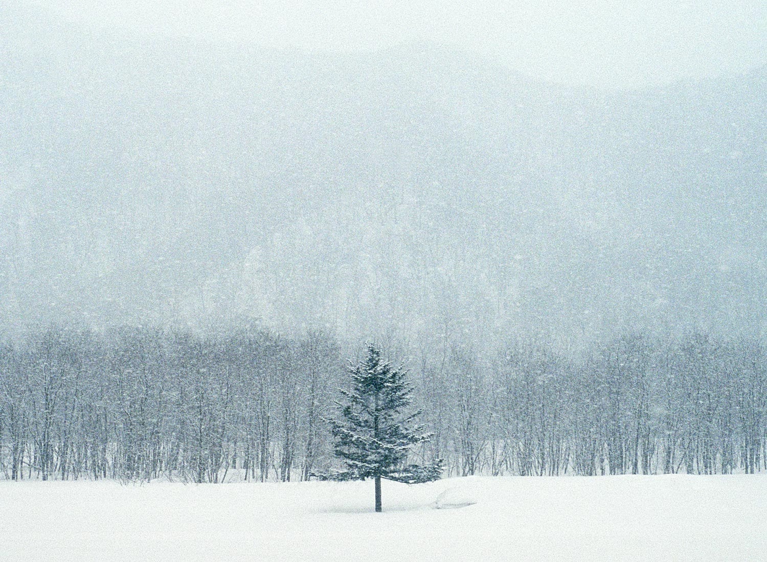 otis & frank Hokkaido / Cereal Magazine