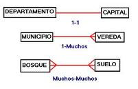 consulta