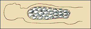 natron mummification process natron mummification process