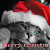Happy Christmas | Merry Christmas HD Images