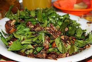 Ayam Tangkap