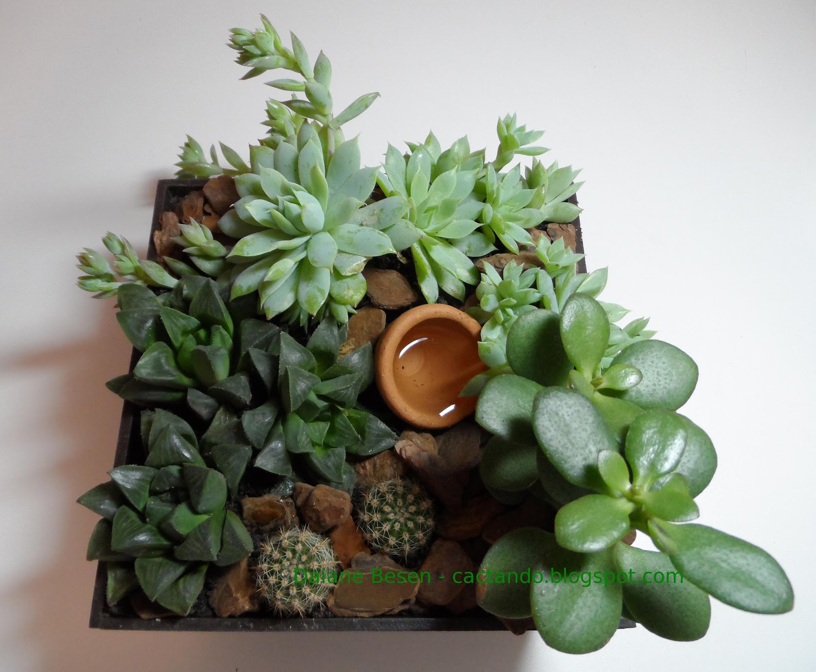 Mini jardim feito por encomenda Para a sala de um apartamento de Mini jardim feito por encomenda Para a sala de um apartamento de