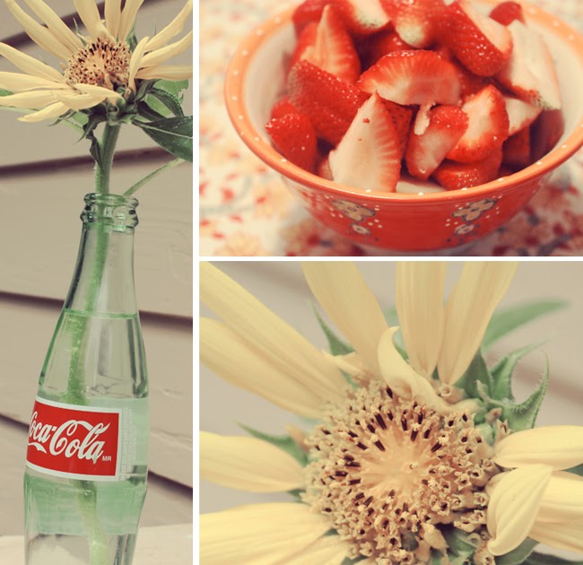 scenic glory create art. inspire design. strawberries & a sunflower