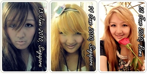 Ciramisu Hair Adventures