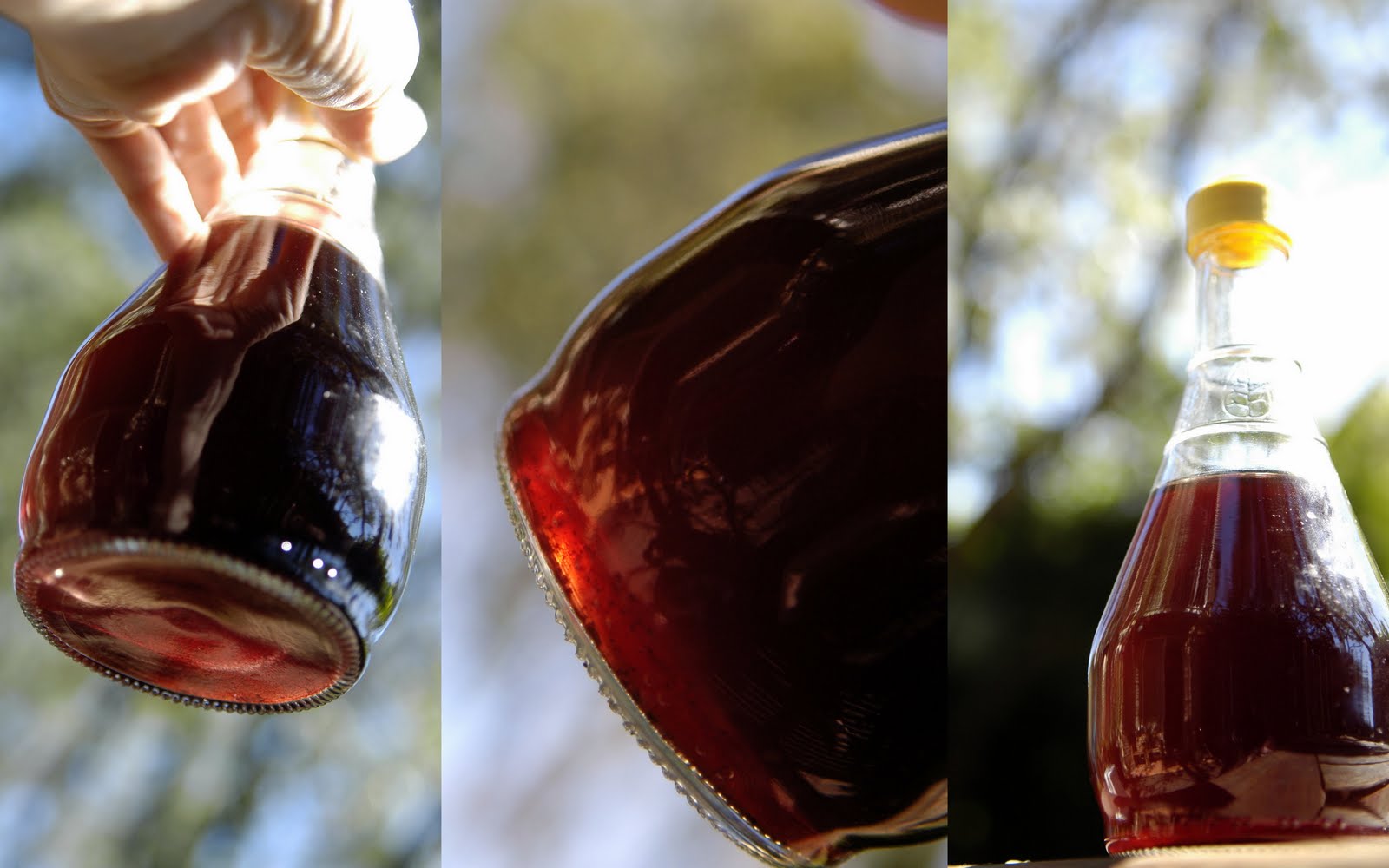 3 Excellent Reasons to Make Your Own Red Wine* Vinegar