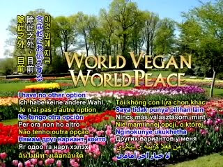 Download Keine opcion For Free Keine Opcion