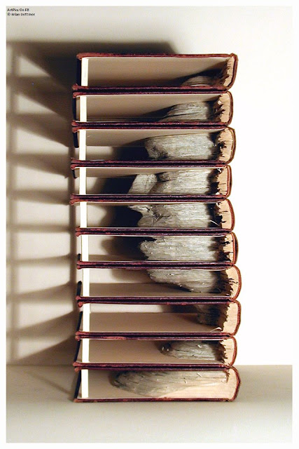 Brian Dettmer Artpics : Books Sculpture