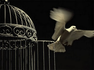 http://4.bp.blogspot.com/-pQvK1VaJSkg/TcLl1MKPdNI/AAAAAAAAIOQ/RI_mXyQocXA/s1600/bird%2Bout%2Bof%2Bits%2Bcage.jpg