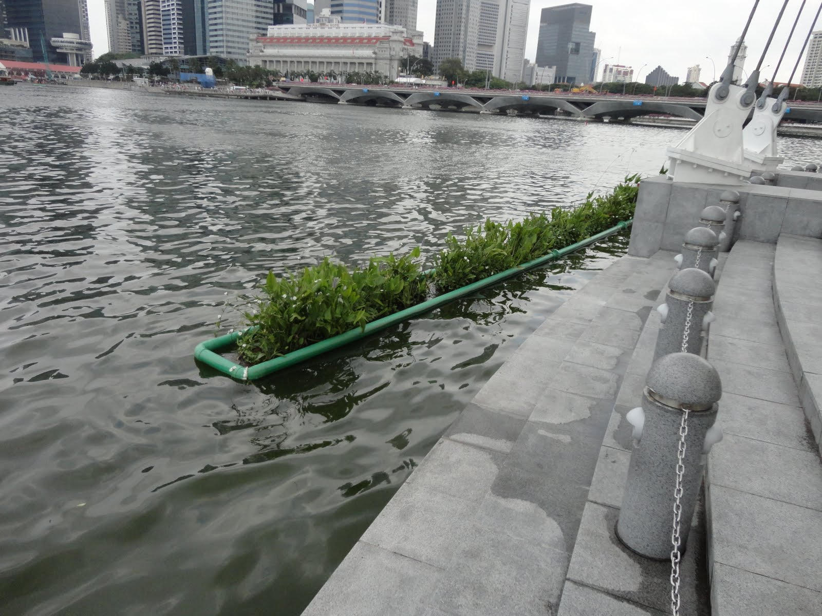 Eric's Big Events and Adventures Floating garden